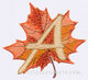 Maple leaf font